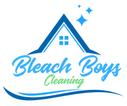 Bleach Boys Cleaning