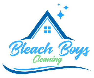 Bleach Boys Cleaning