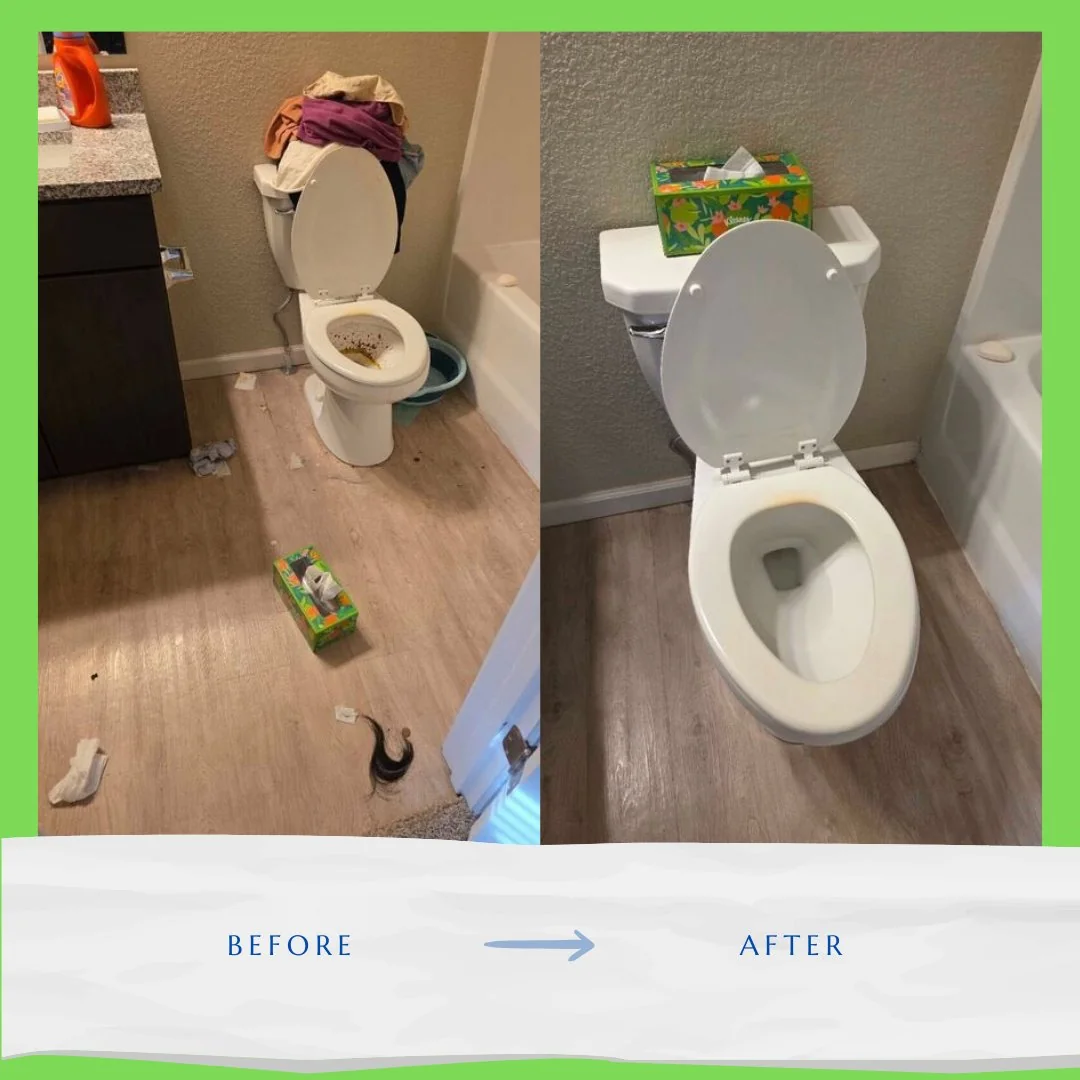 Before and after toilet clean — Bleach Boys Cleaning